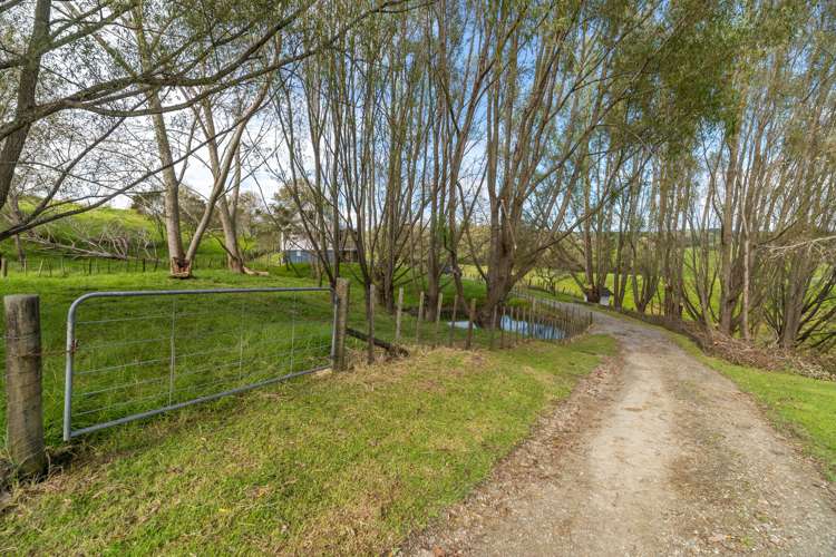 4b Dowson Place Kaiwaka_10