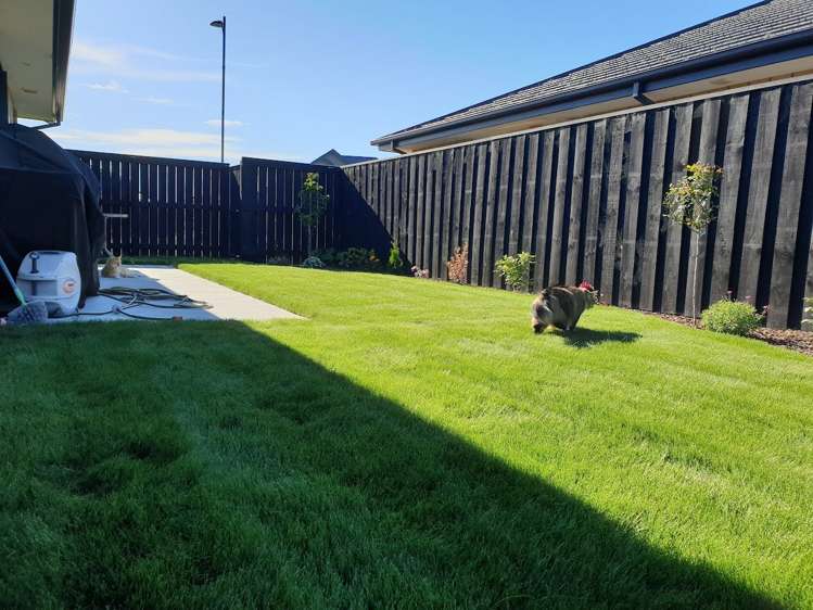 49 Kilmurry Street Halswell_9