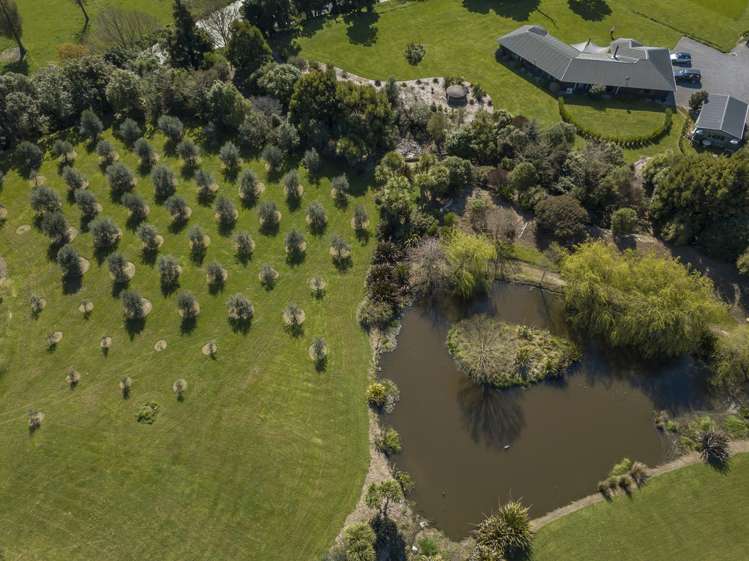 672a Te Whiti Road Te Whiti_15