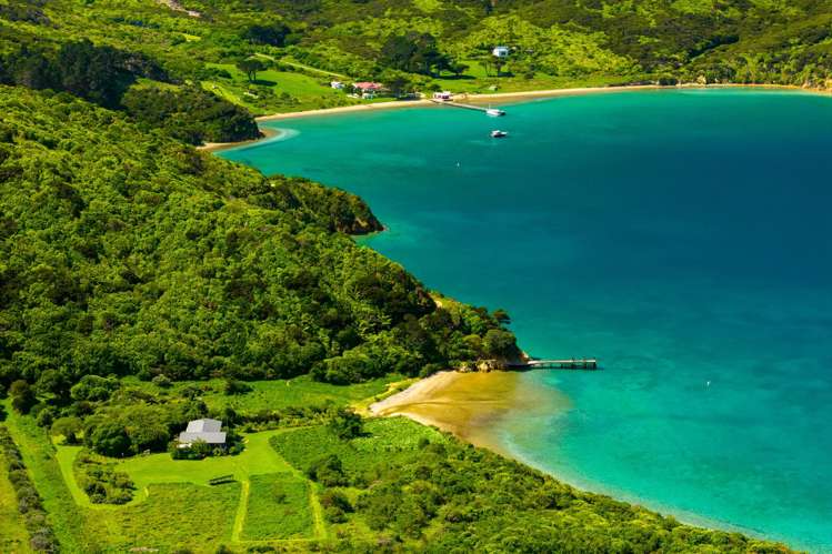 - Umukuri Bay Queen Charlotte Sound_19