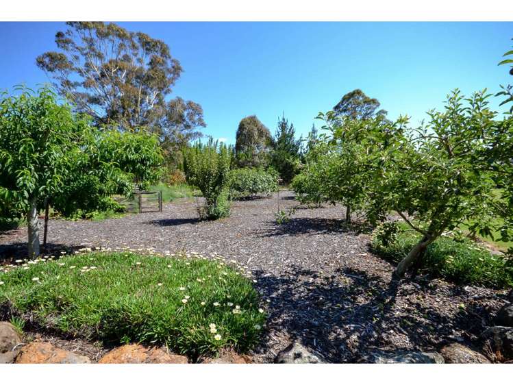 50b Equestrian Drive Kerikeri_21