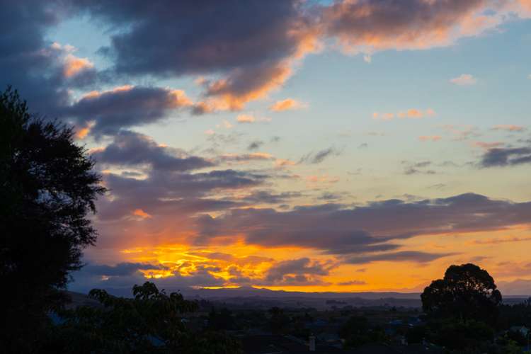 234 Howick Road Witherlea_31