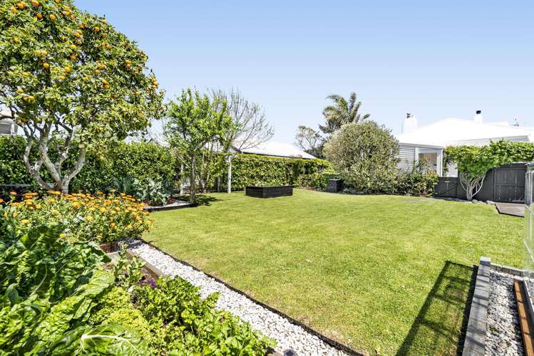 245A Carrington Street Vogeltown_41