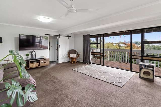 38 Ameer Street Pleasant Point_4