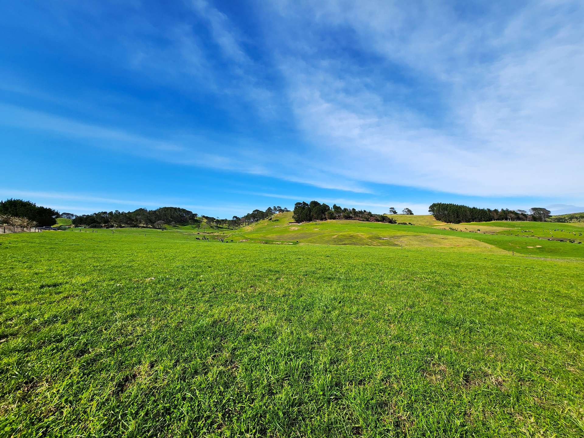 Lot 5 Babylon Coast Road Omamari_0