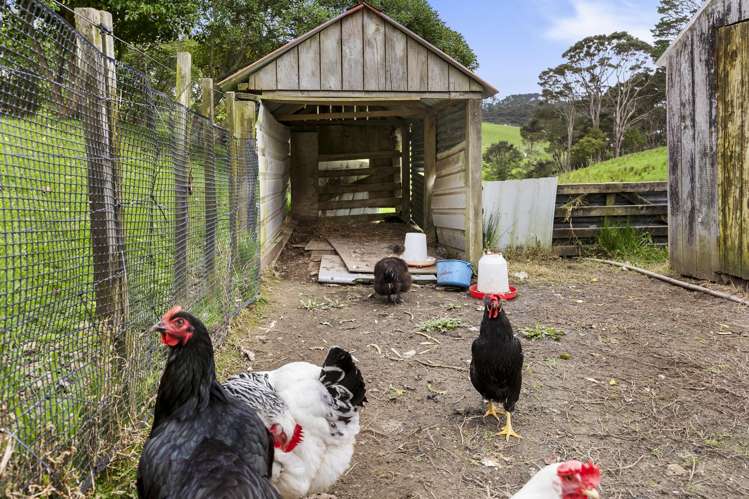 197 Forest Hill Road Waiatarua_21