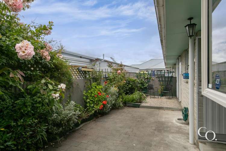 311a Southampton Street West Hastings_20