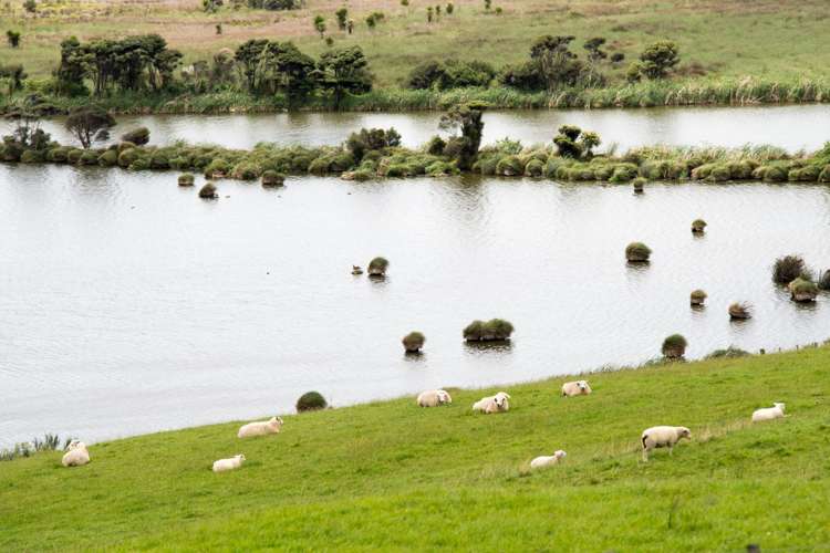 95a Tuparekura Road South Head_12