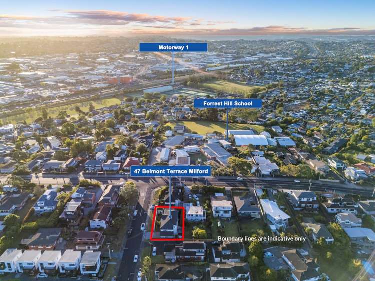 47 Belmont Terrace Milford_27