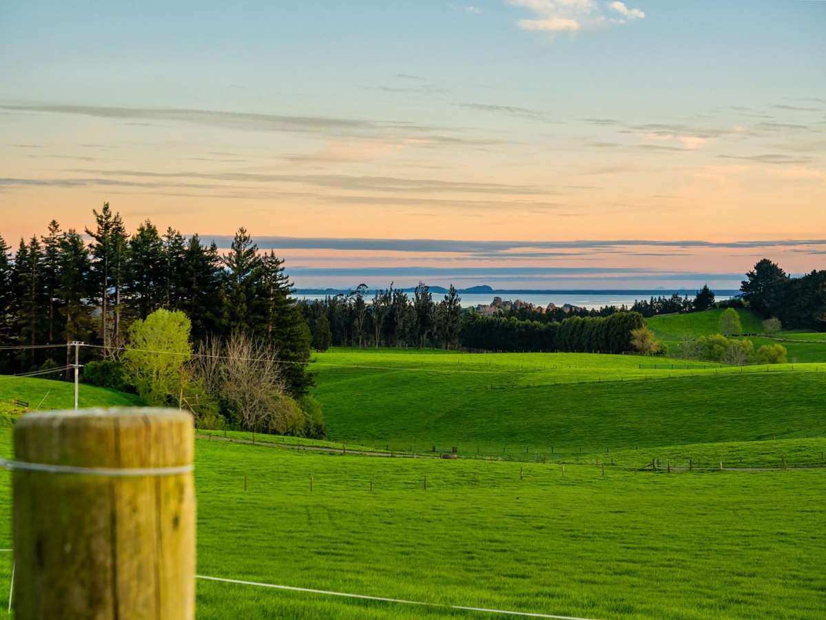 Lot Lot 1 Ross Road_4