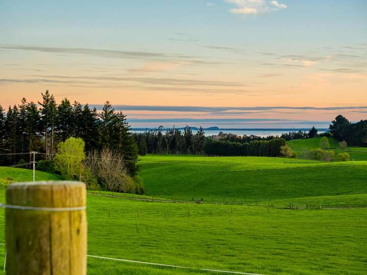 Lot Lot 1 Ross Road Whakamarama_8