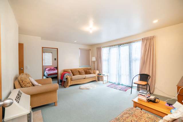 46 Collingwood Street Hokowhitu_1