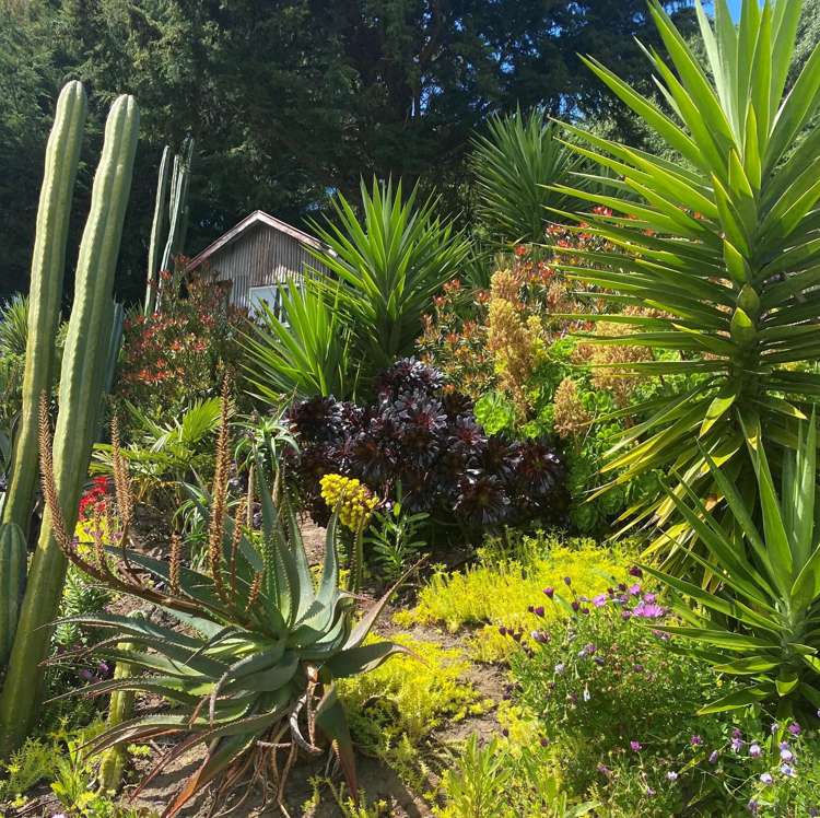 326 and 328 Marine Drive Charteris Bay_9