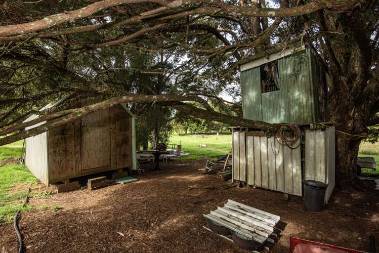 27 Hodge Road Ruatangata West_26