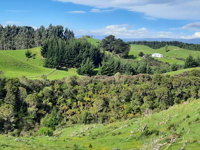 Lot 7, 560 Finnis Road Pohangina_2