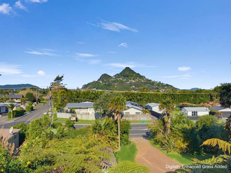 341 Main Road Tairua_19