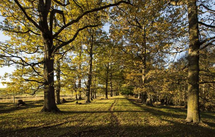 541 Beaconsfield Road Pareora West_18