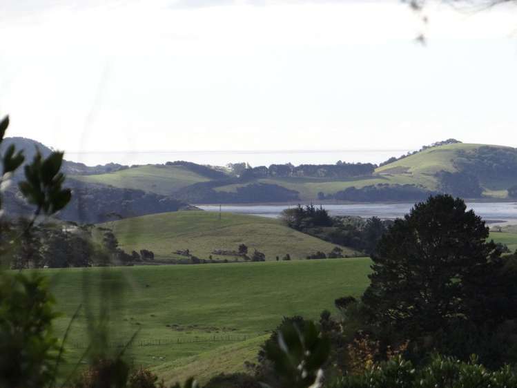 206 Kauri Mountain Road Taiharuru_7