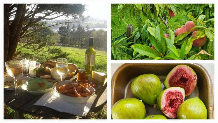 208 Petley Road Paparoa_5