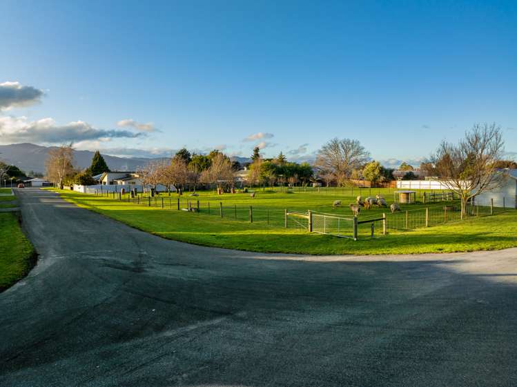 19 Havelock Street Renwick_16