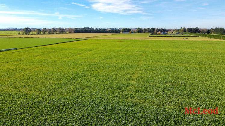 280 Tinwald Westerfield Mayfield Road Tinwald_7