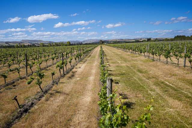 220 Omihi Road Waipara_3