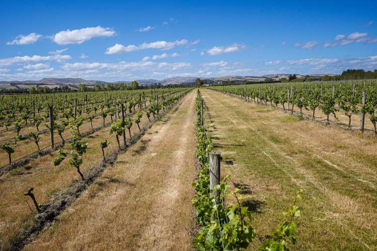 220 Omihi Road Waipara_3