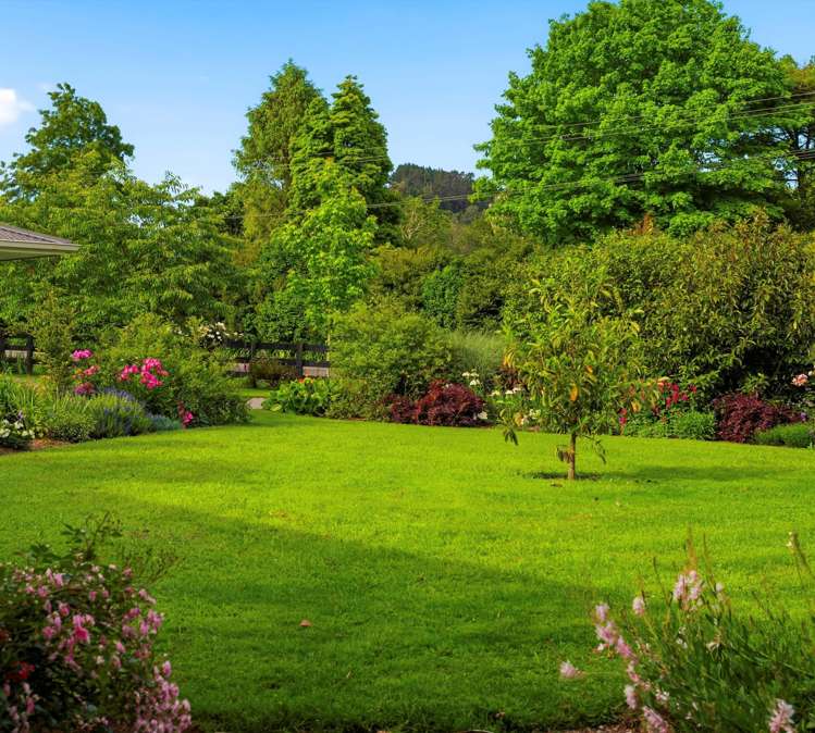 41 Walmsley Rd Waihi_17