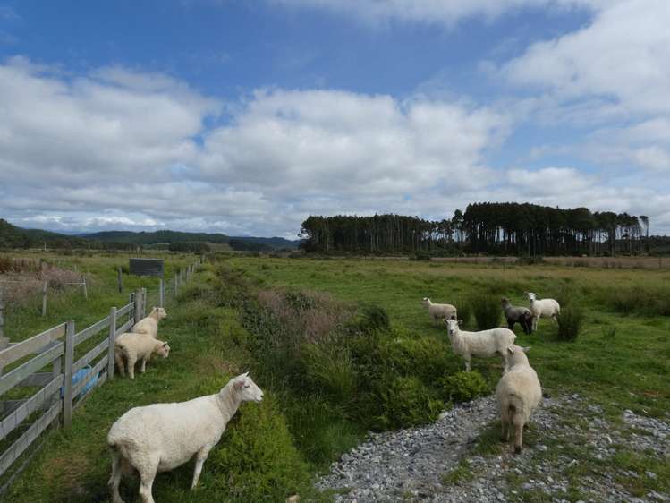 Havill Drive Hokitika_2