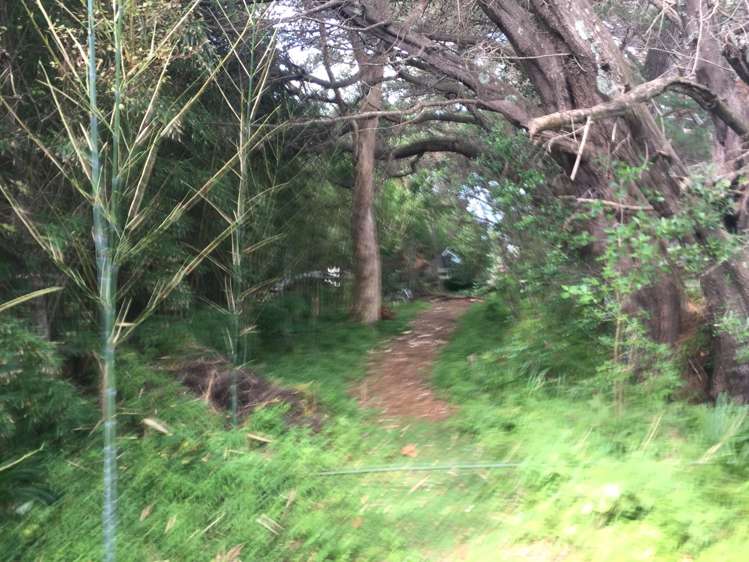 115 Cornwallis Road Cornwallis_6