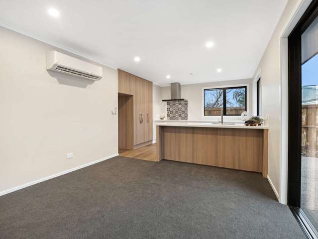 164a Chalmers Ave Ashburton_3