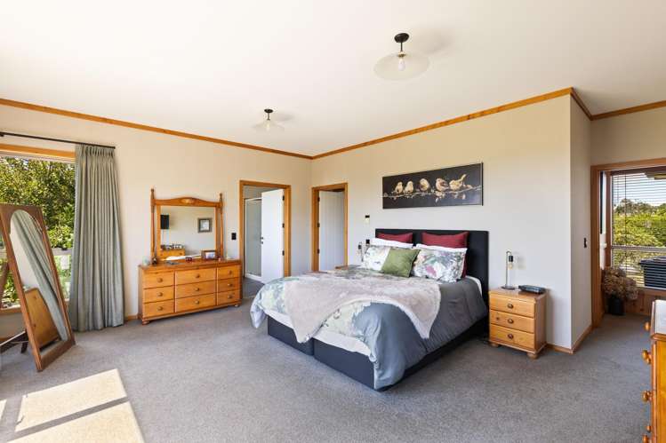 201B Egmont Road Hillsborough_13