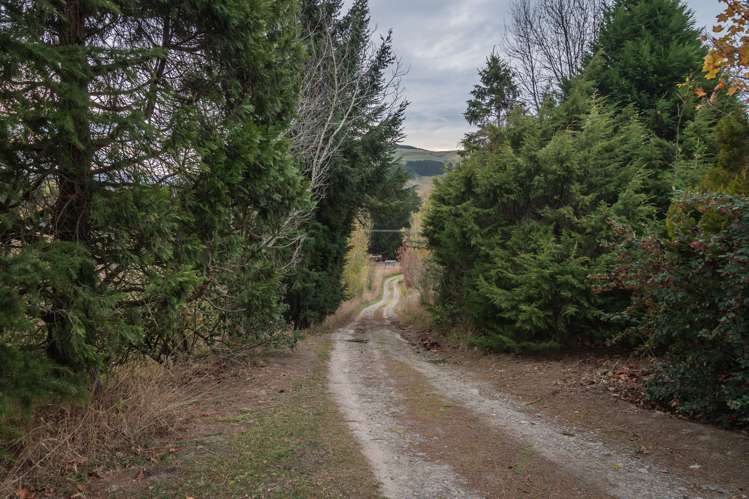 21 Elizabeth Street Timaru_3