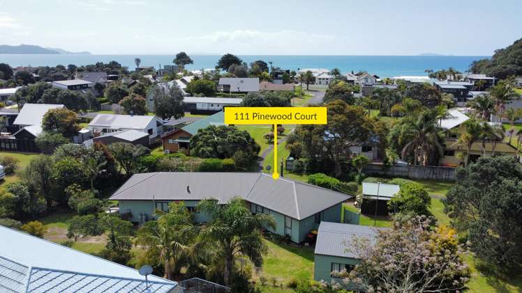 111 Pinewood Court_0