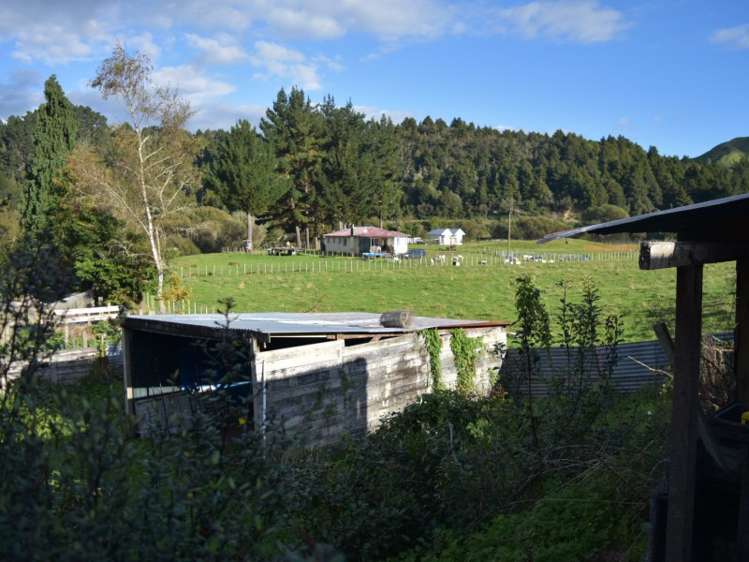 50 Ongarue Village Road Waimiha-Ongarue_6