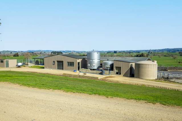 229 Candy Road Te Awamutu_3