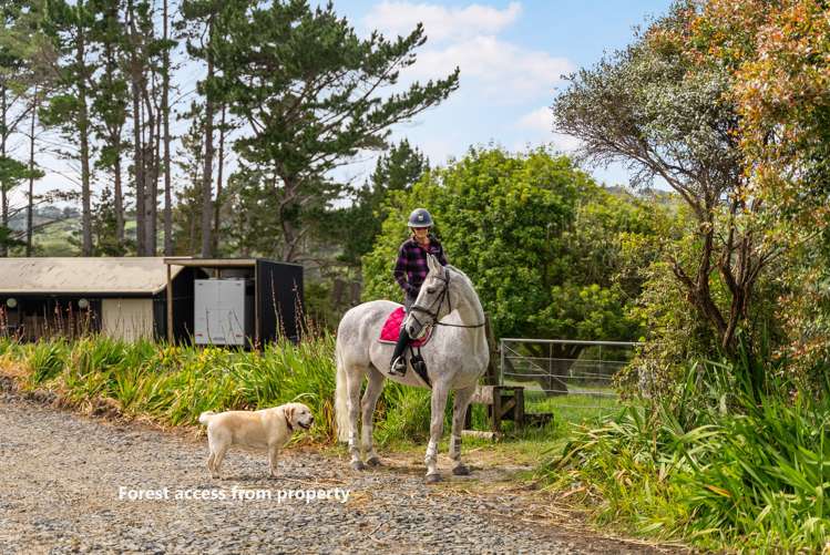 39 Mill Flat Road Riverhead_21