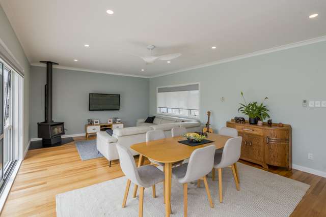 16 Hannan Street Levin_3