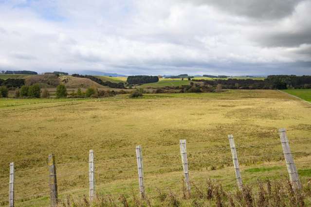 620 Taonui Road Colyton_3