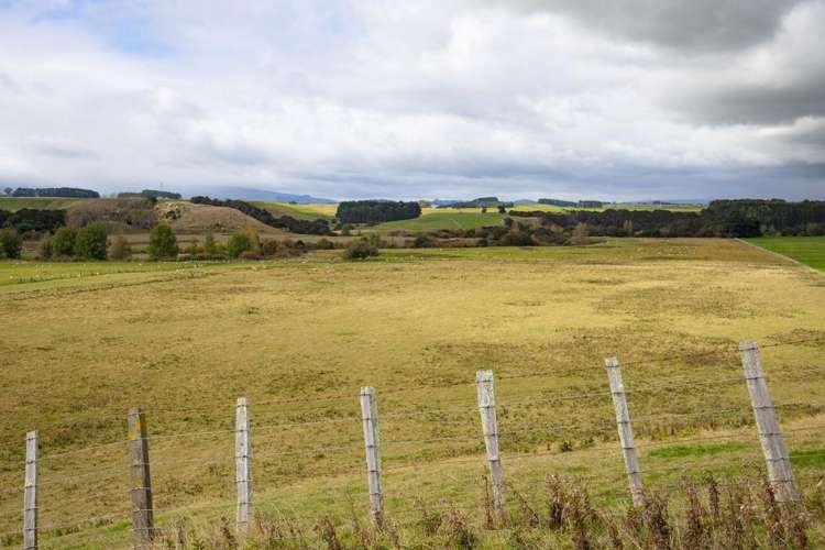 620 Taonui Road Colyton_3