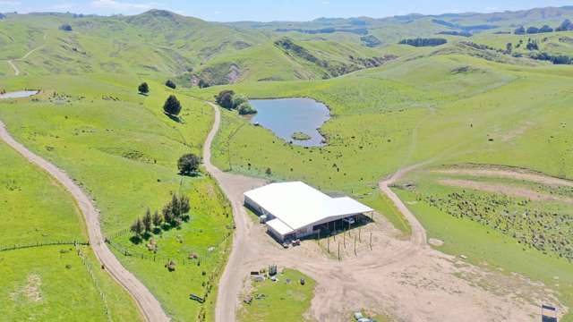 207 Mangatuna Road Weber_1