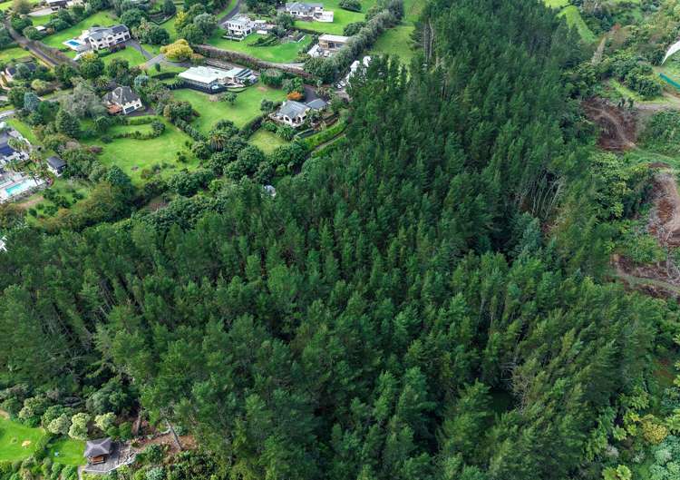 14 Tupelo Place Ohauiti_55