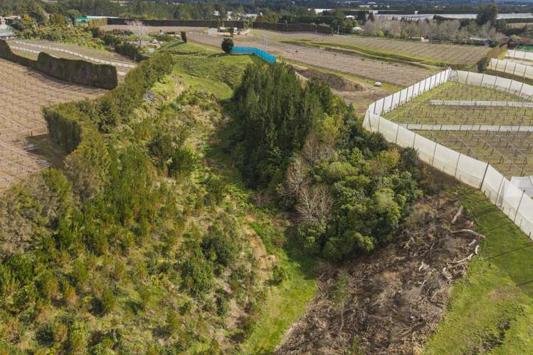 589 Rangiuru Road Te Puke_10