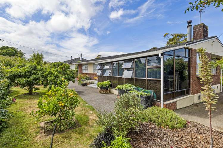 3 Brassey Street Waverley_24