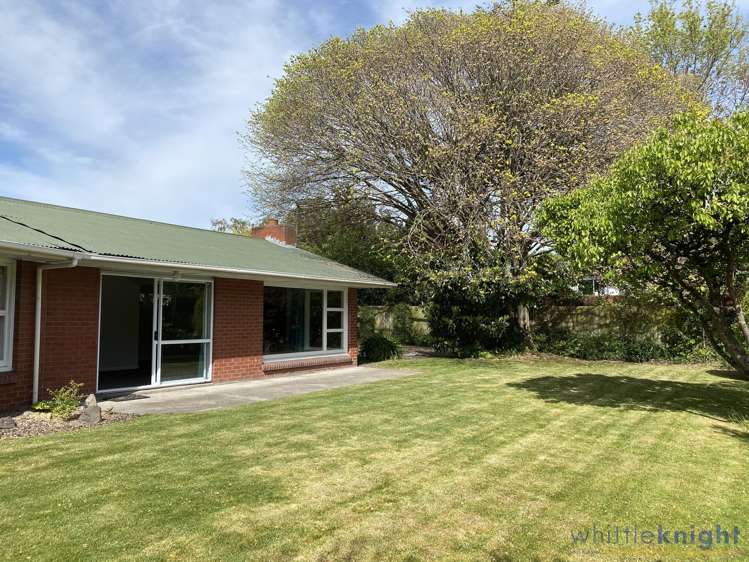 30a Wroxton Terrace Merivale_14