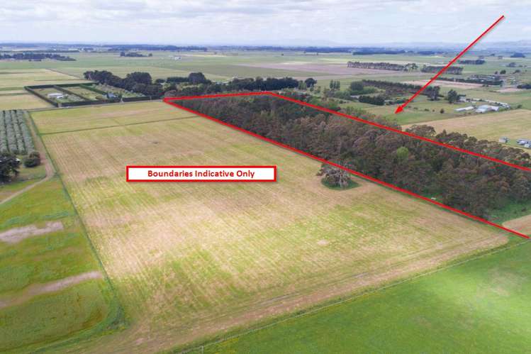 270 Motuiti Road Foxton_17