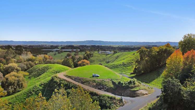 Otumahi Lane Whakatane_11