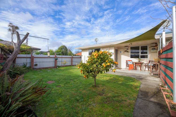 7b Beaver Road Blenheim Central_13