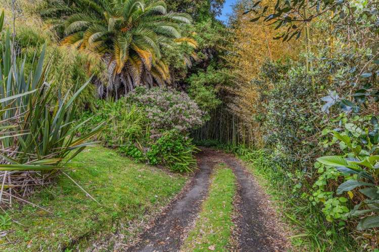 121 Reeves Road Opotiki and Surrounds_32