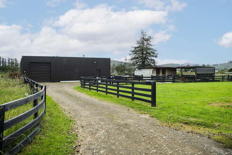 1290 Matawai Road Ormond_9